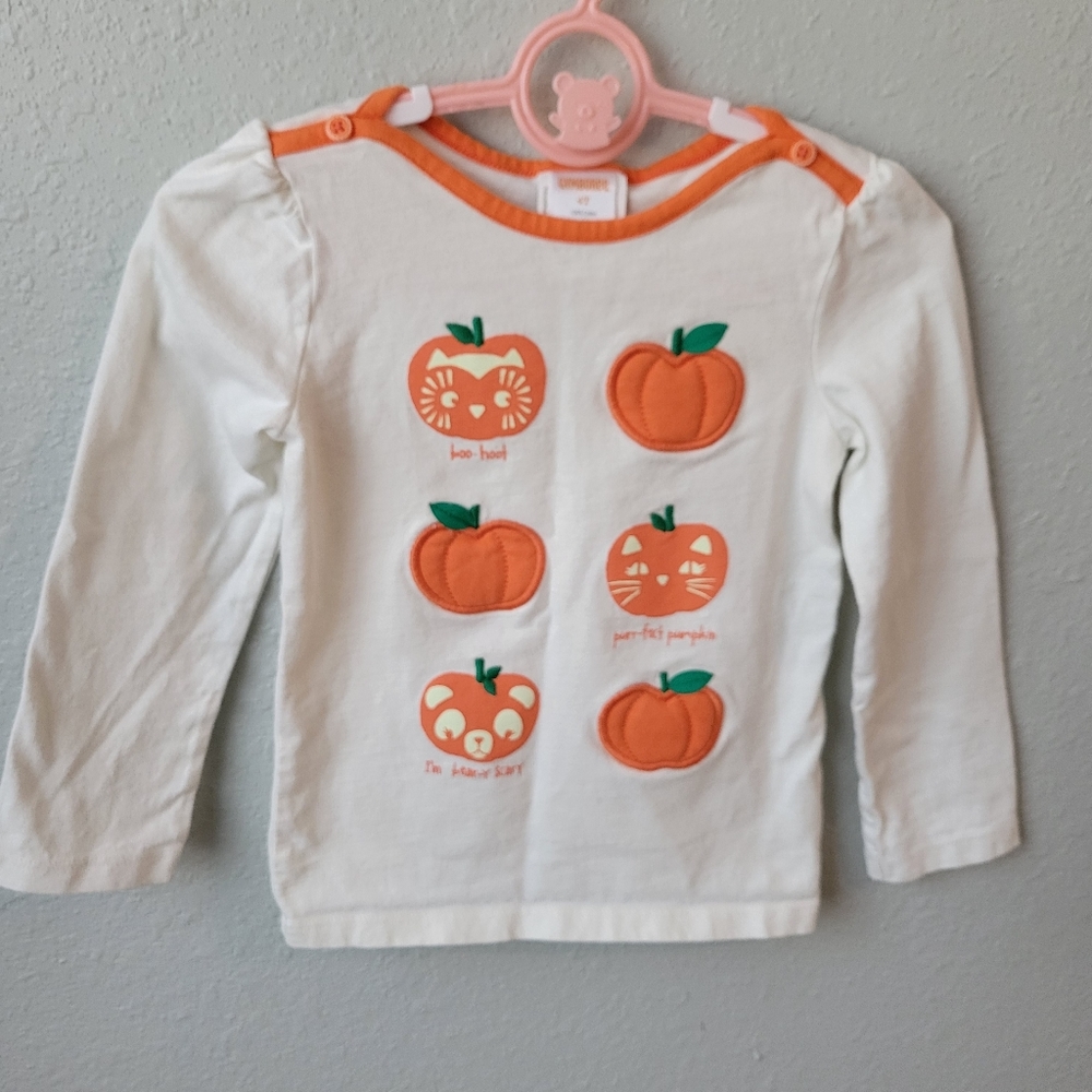 Gymboree Long Sleeve Pumpkin Shirt Toddler Girls Size 4T